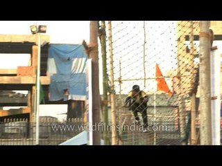 Little boy climbing rope bridge at Sangai festival