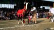 Amazing horse dance displayed at Kila Raipur sports festival