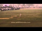 A Bull running on the field during the Kila Raipur Sports Festival
