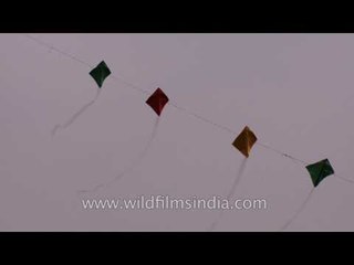 A rainbow colored kite train : at Kila Raipur Sports Festival 2014