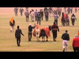 Rural Olympics Sports Festival : Ludhiana, Punjab
