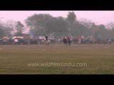 Horses run as fast as they can: Kila Raipur sports