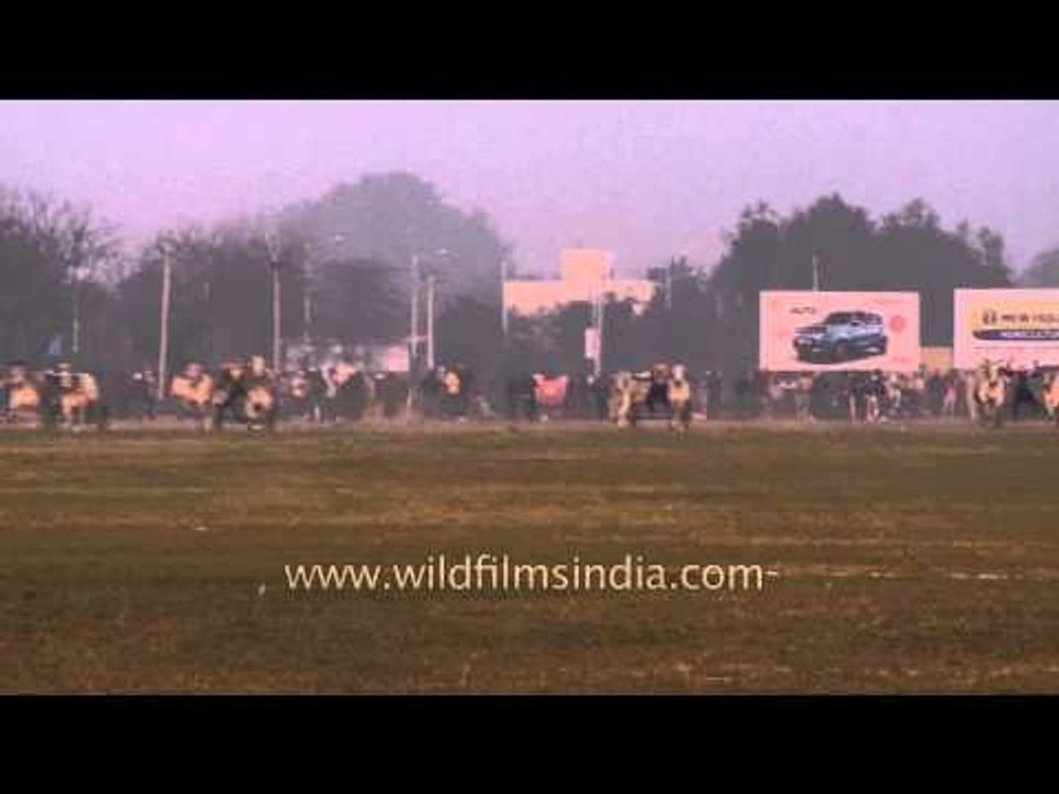 Thrilling sport : Traditional bullock cart race, Kila Raipur Sports Festival