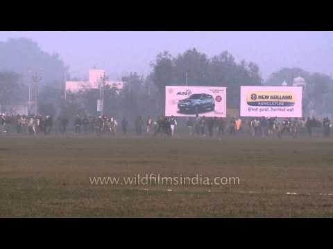 Kila Raipur Sports Festival, Rural Olympics : Bullock cart race