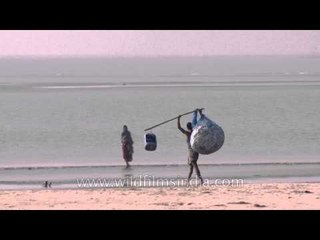 Fishing activity at Bakkhali beach
