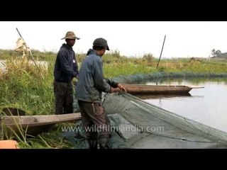Fisher folk at work in the Loktak Lake.