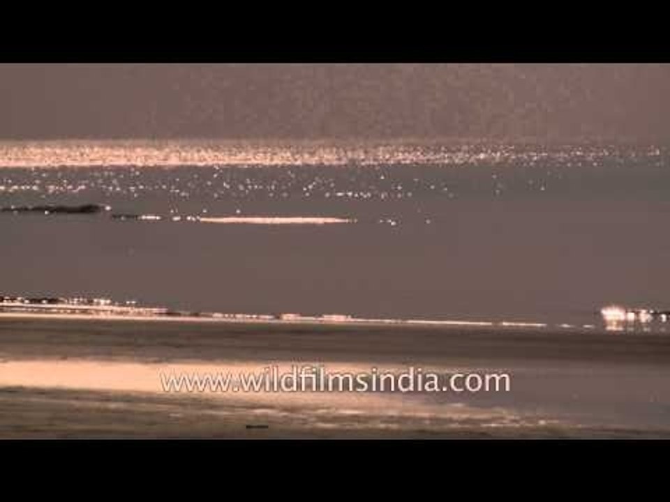 Gentle waves coming into shore at Bakkhali beach