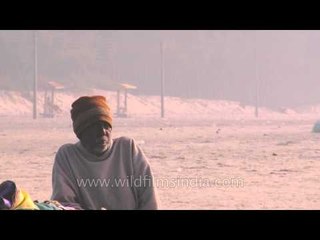 Goat wading through the Bakkhali beach
