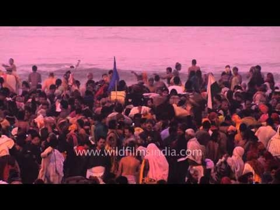 Hindu pilgrims get together to take holy dip : Gangasagar Mela