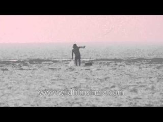 Fishing near the shallow water of Bakkhali beach