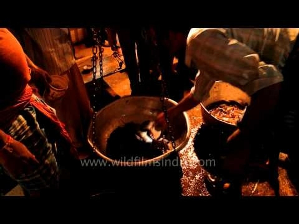 Fish distributors weighing singhi fish