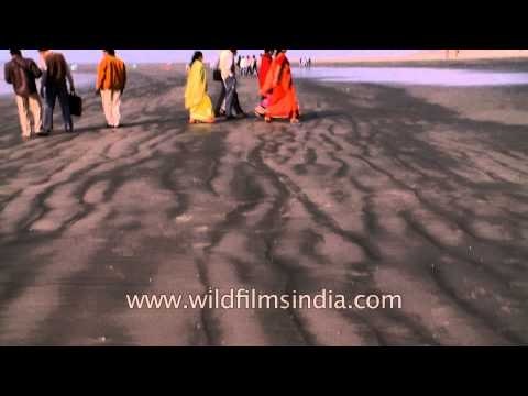 The long stretched land of Bakkhali beach, West Bengal