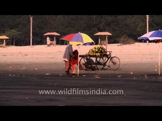 Setting up umbrellas - Bakkhali beach, West Bengal