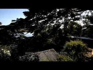 Glimpse of the floating lake - Loktak lake, Manipur