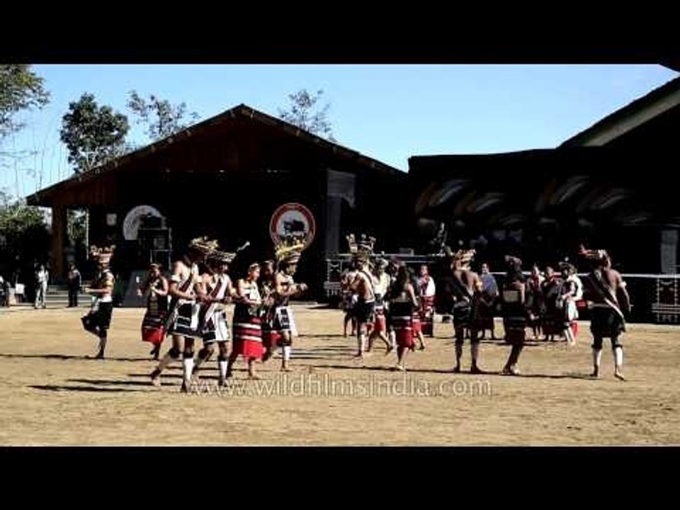 Presenting the Hornbill dance by Zeliangrong tr...