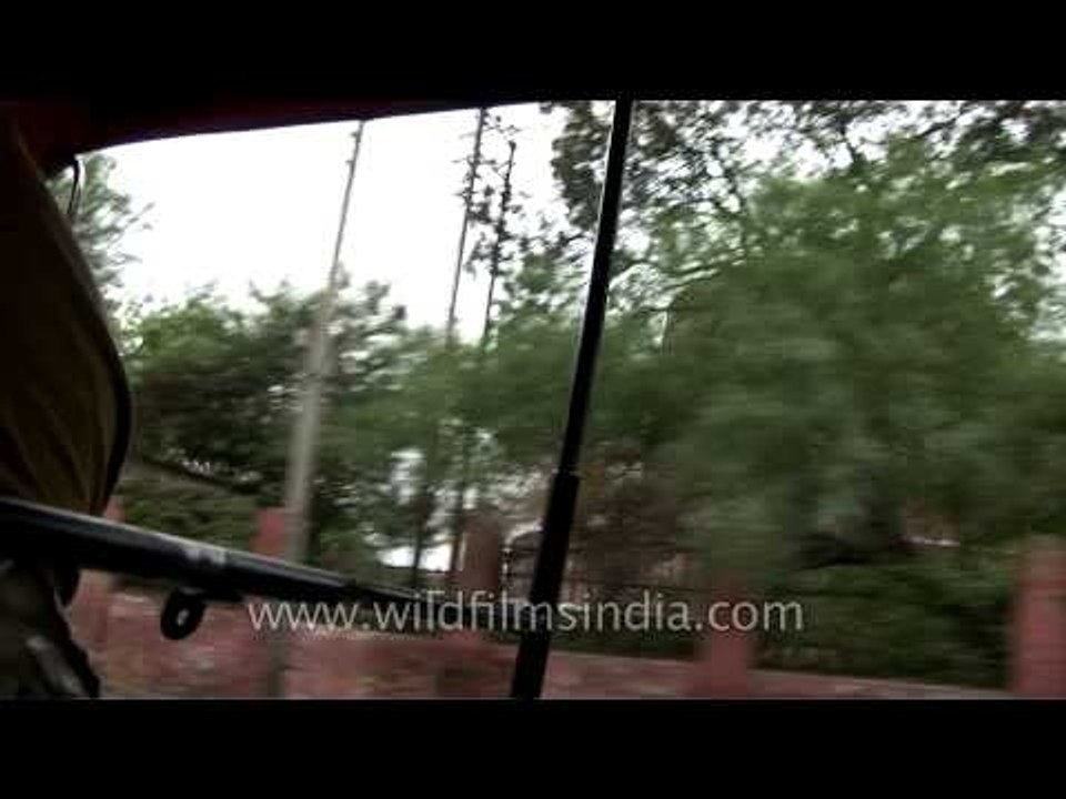 Slide view of Red Fort Agra seen from auto rickshaw