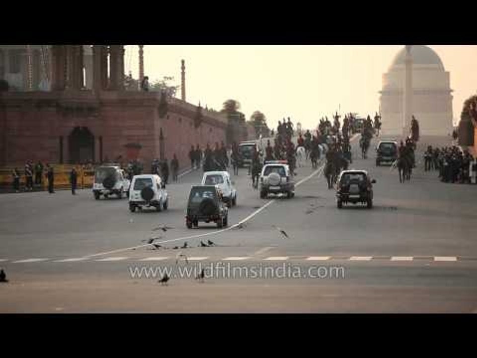 Crows eating PBG's horses poop after the closing ceremony