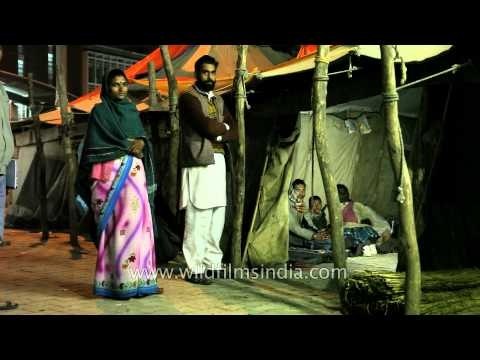 Delhi's homeless temporary tent shelters