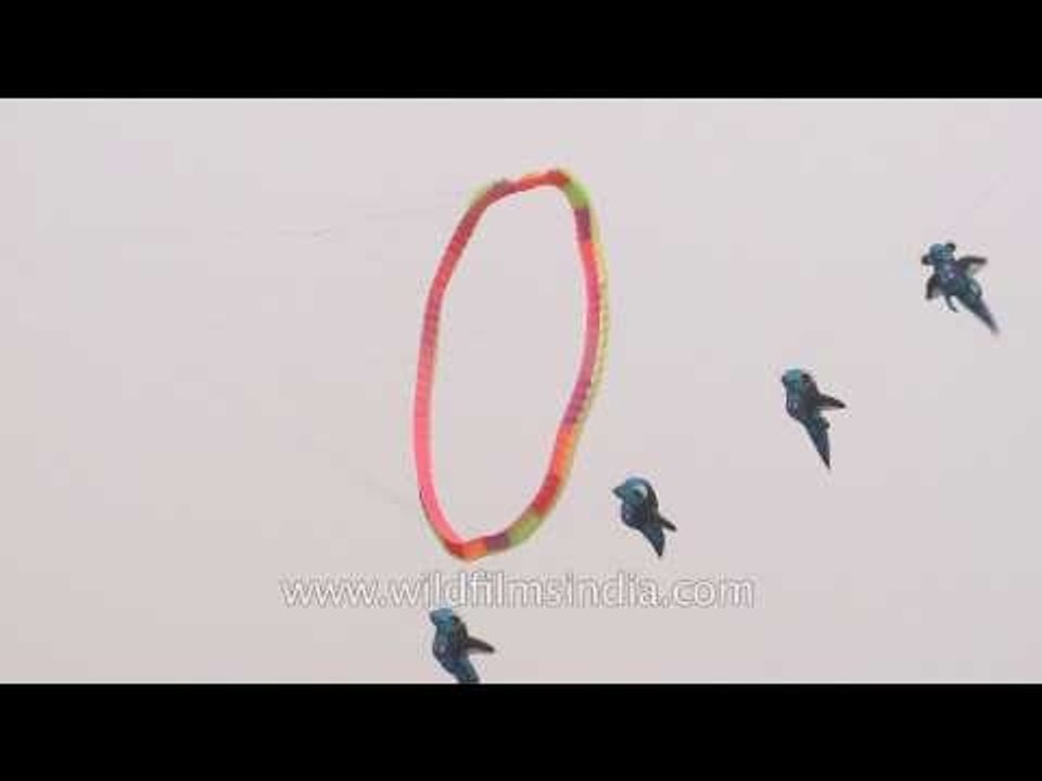 Different shapes and size of Kites at Delhi's kite festival