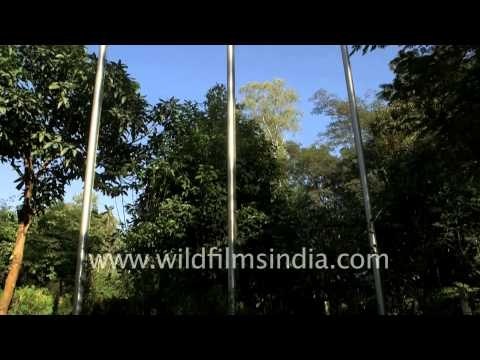 The India Peace Memorial - At Maibam Lokpaching, Imphal