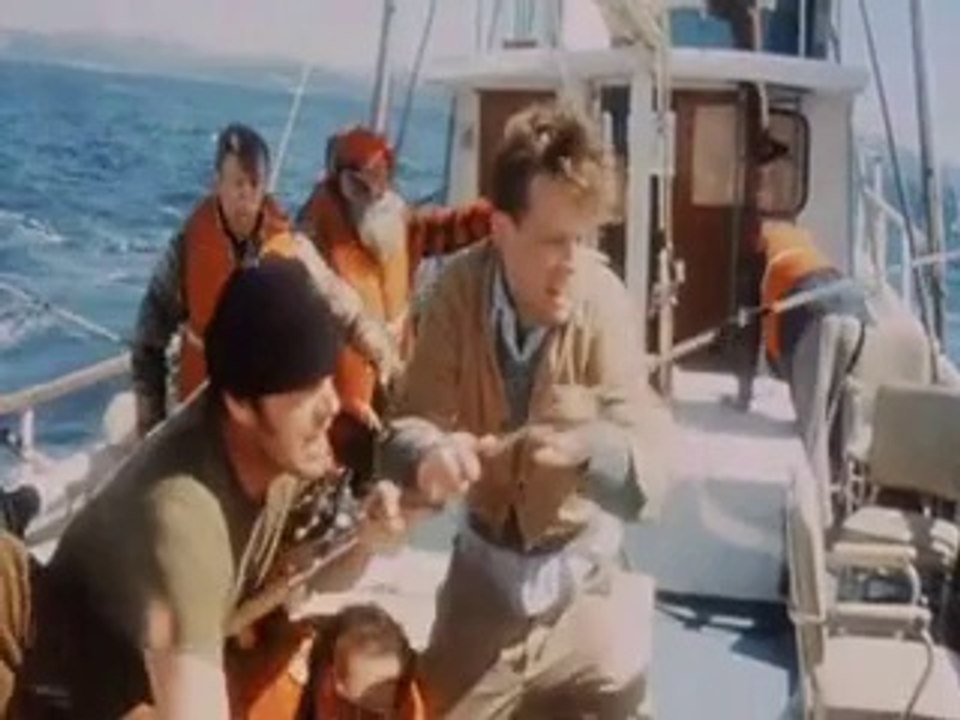 Guguk Kuşu - Fragman