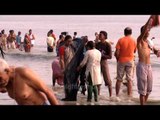 Indian Hindu Pilgrims take the holy dip at Gangasagar Island