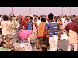 Devotees thronge in Gangasagar on Makar Sankranti