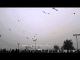Sky full of colorful kites at 3rd International Kite Festival