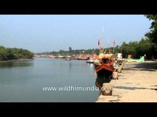 Fazerganj harbour at Bakkhali, West Bengal