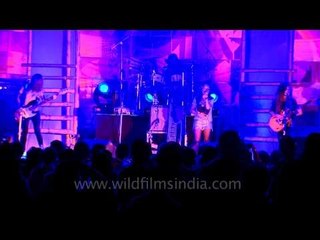 The Vinyl Records aka TVR at Ziro music fest