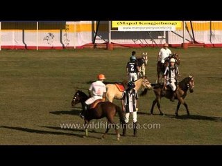India vs USA in international polo!