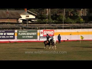 International Polo tournament, Imphal