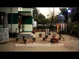 Traditional Tamil house specially built for Pongal celebrations