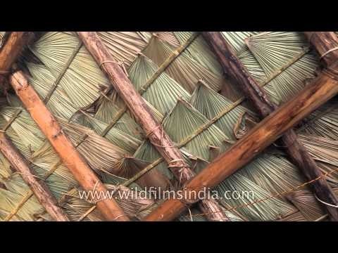 Roof of a Konyak morung made from Luk leaf