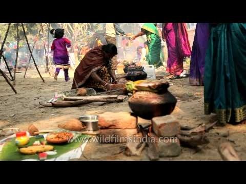 Lady pushes firewood to keep fire burning
