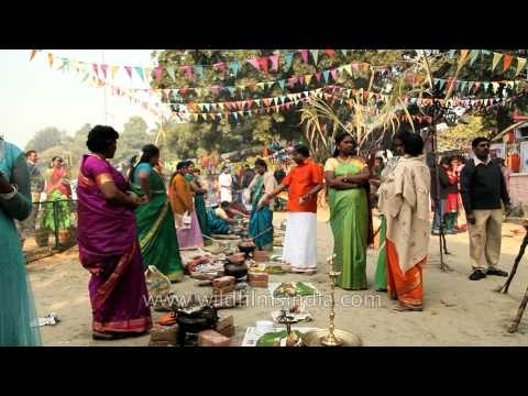 Waiting for the pongal to boil, pongal making competition