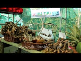 Local Naga gingers on sale at Hornbill Fest
