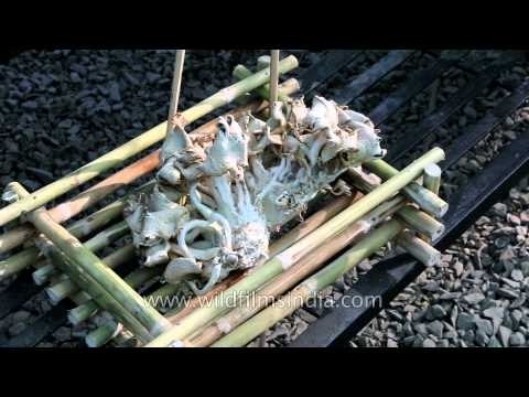 Mushrooms and pear sauces displayed at Hornbill horticulture exhibition