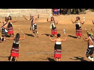Harvest festival celebrated by Zeliang tribe at Hornbill Fest