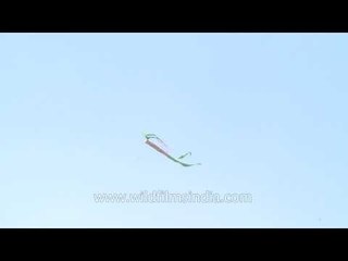 Man flying a big kite at International Kite Festival 2014, New Delhi