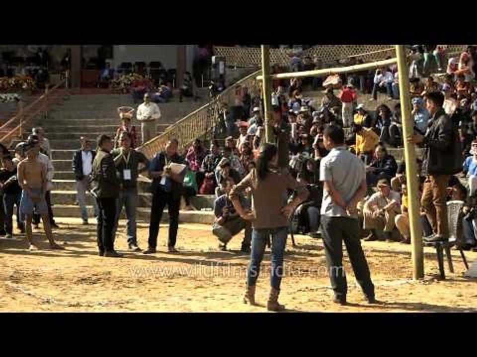Tourist waiting to watch the meat-kicking competition at Hornbill festival 2013