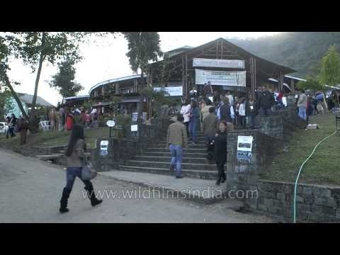 Visitors enjoying at the Hornbill Festival