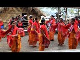 Kachari tribe dancing at Hornbill festival 2013