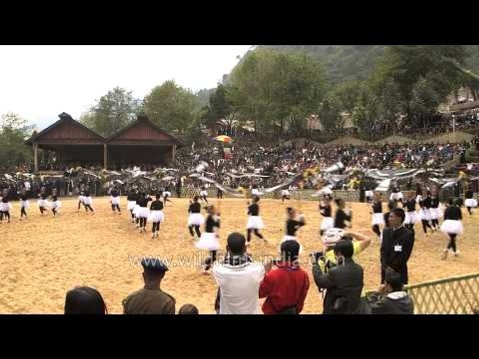 Hornbill dance