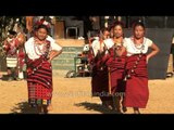 Ao Naga women performing at Naga Heritage