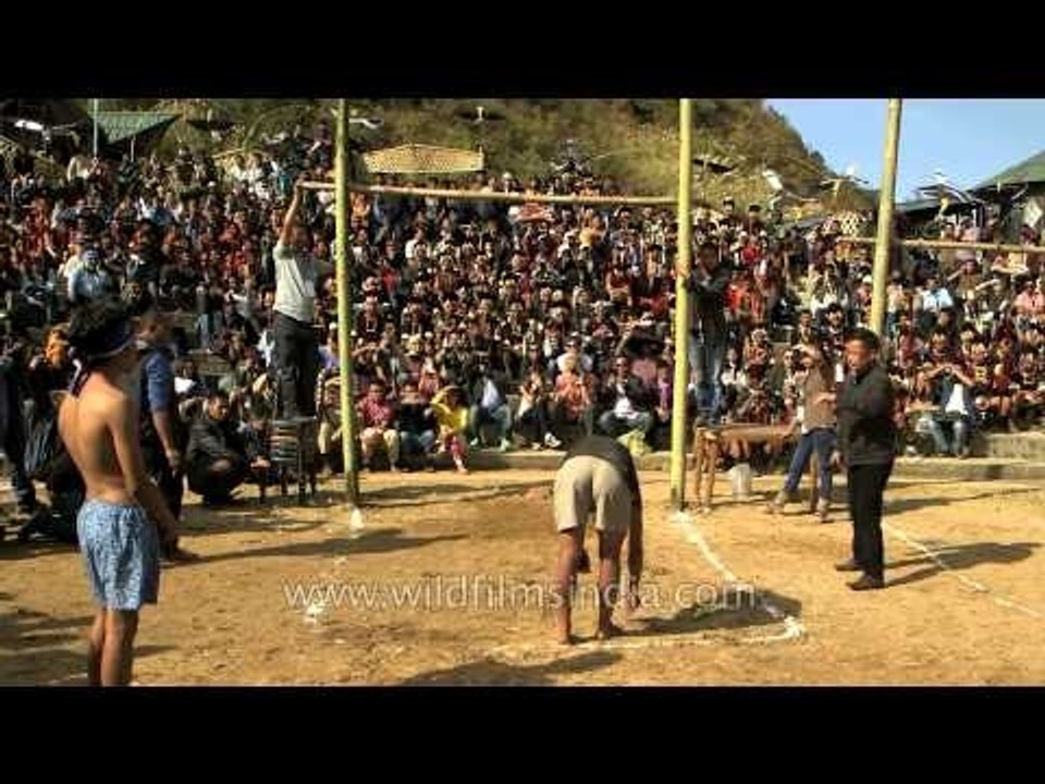 Indigenous 'meat kicking' competition at Hornbill festival 2013