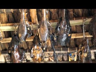 Preserved animal heads and indigenous utensils of Nagaland
