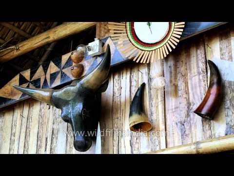 Horns and heads of hunted animals