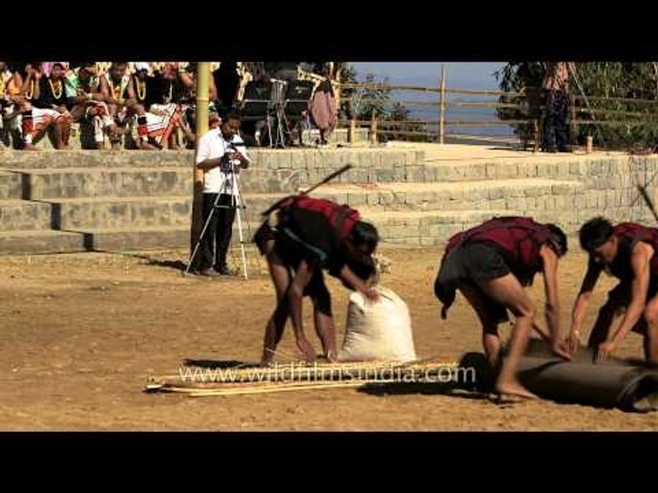 Millet harvesting showcased by Yimchunger tribe