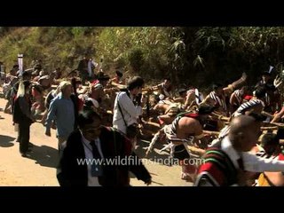 Pulling hard, tribals enjoying at stone pulling ceremony